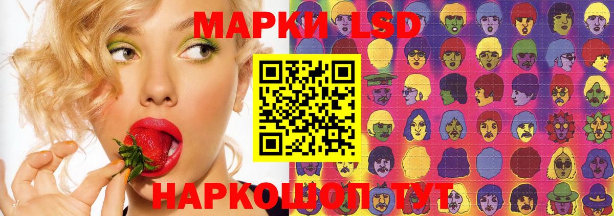 Кингисепп  блэк спрут зеркало  Вход с VPN  LSD-25 экстази ecstasy 