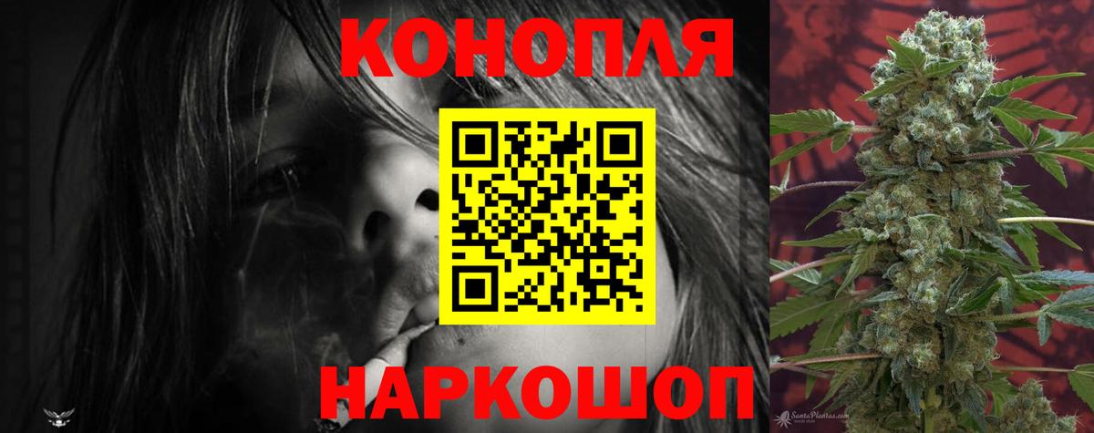 Бошки Шишки тримм Кингисепп